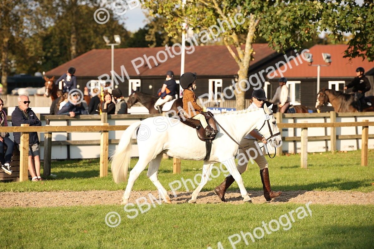 SBM_54392 - S27 - Mature Veteran - Ridden