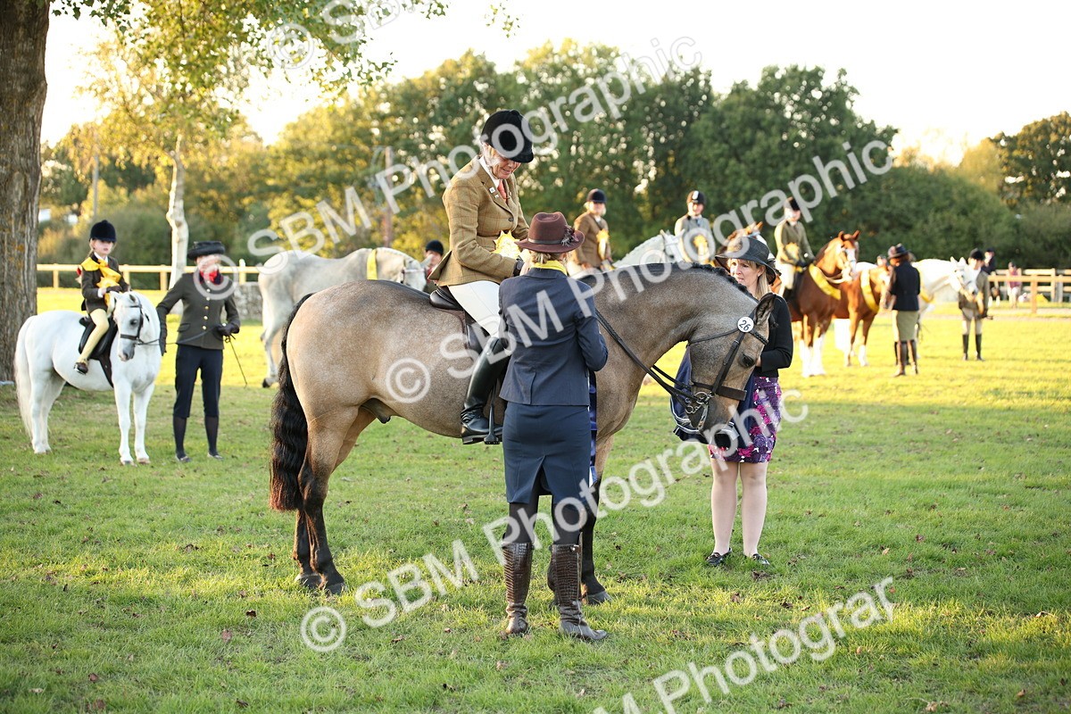 SBM_57070 - Veteran Supreme Championship
