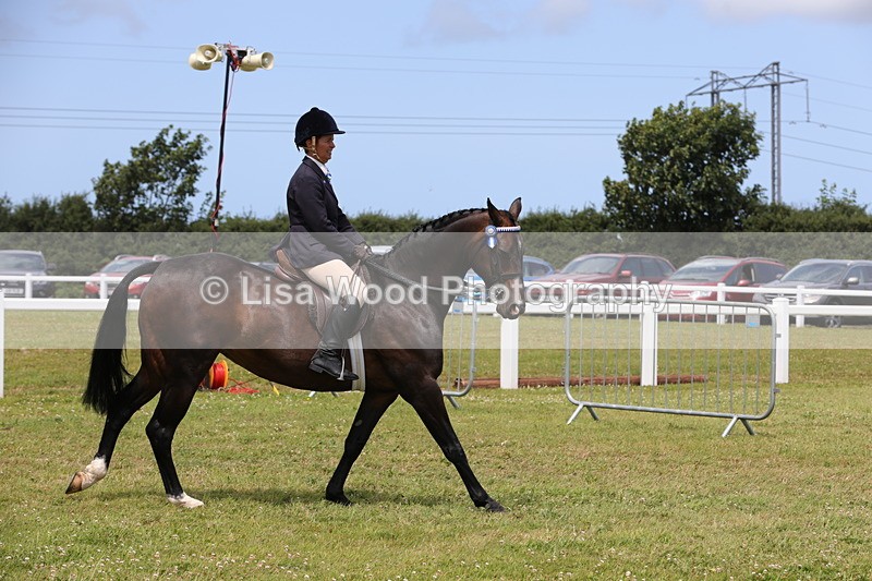 1X9A4379 - Class 34: Veteran Ridden