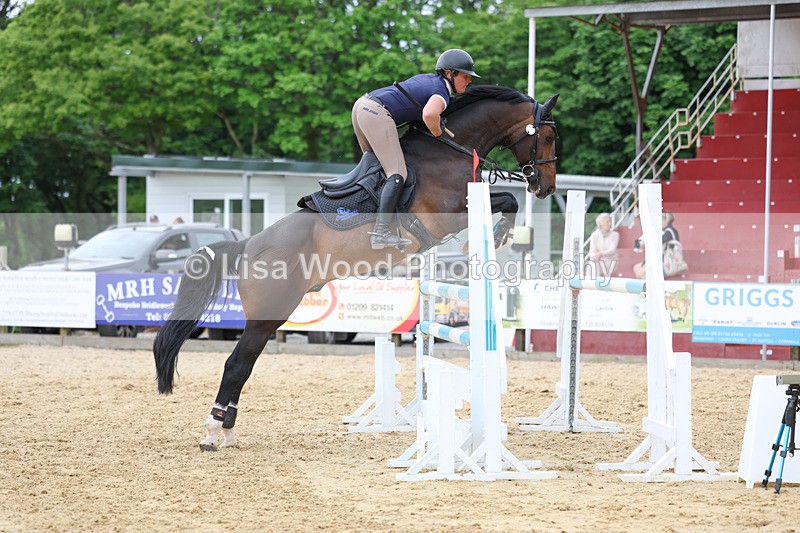 3E7A7933 - Class 8: Senior Foxhunter/1.20 open