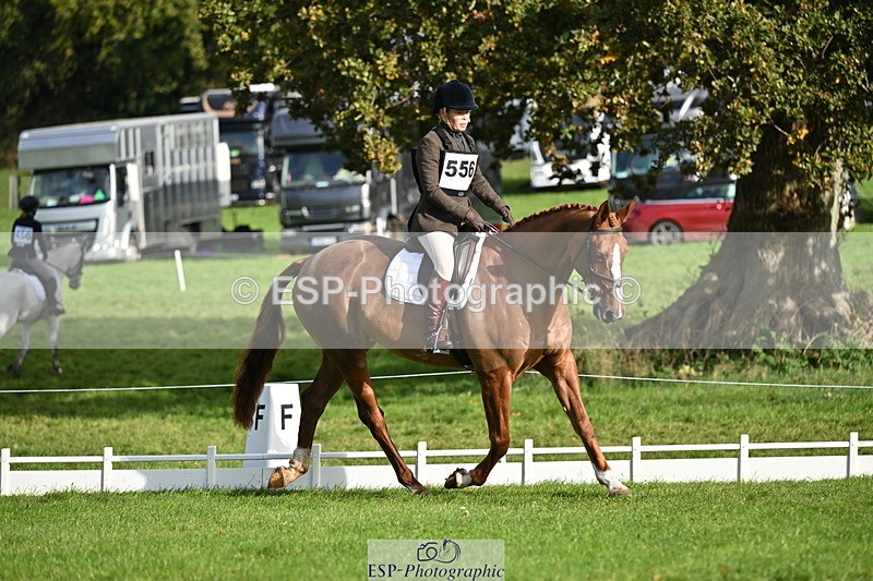 251024A-102622-08323 - G-556-Abi.Jacobs