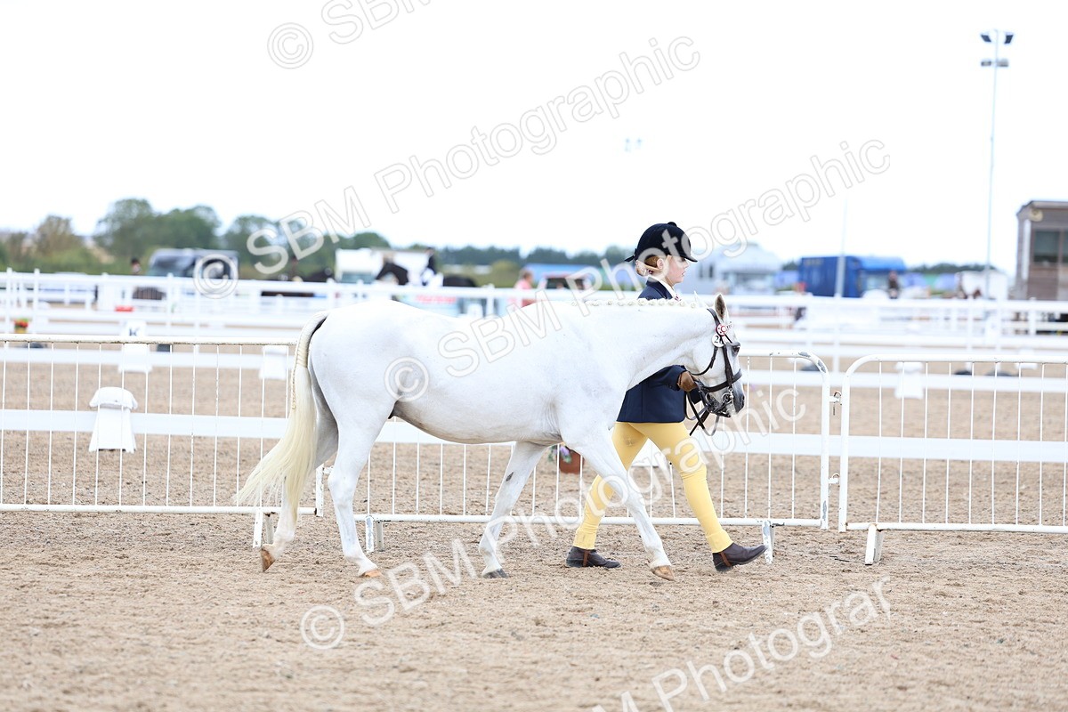 SBM_04990 - Class 27 - IH Competition Horse or Pony