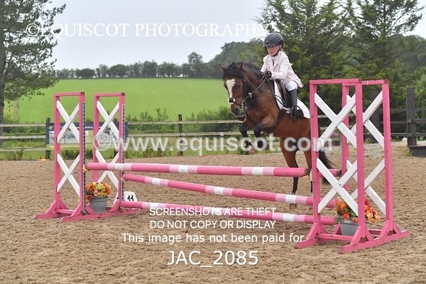 JAC_2085 - CLASS 6 Stepping Stones 128/ 138cms Handicap