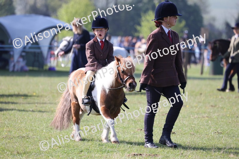 20250427-0171 - Class 30 - Tiny Tots Lead Rein