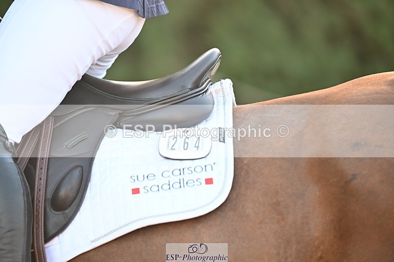 231022-101253-23258 - 264-BEST.ENDEAVOUR-Freddie.Taylor-SJ