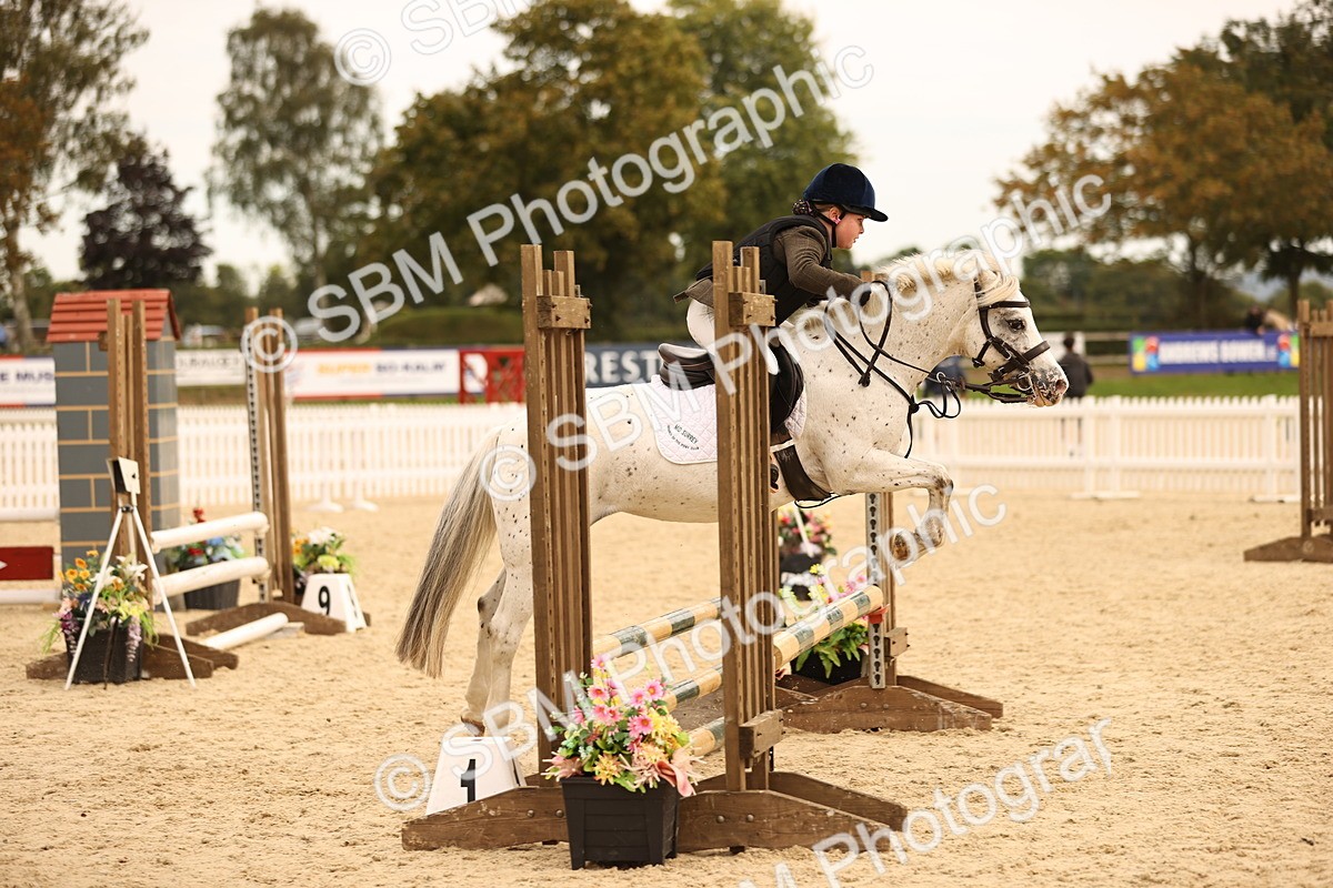 SBM_72481 - J14 - Junior Pony 65cm Championship