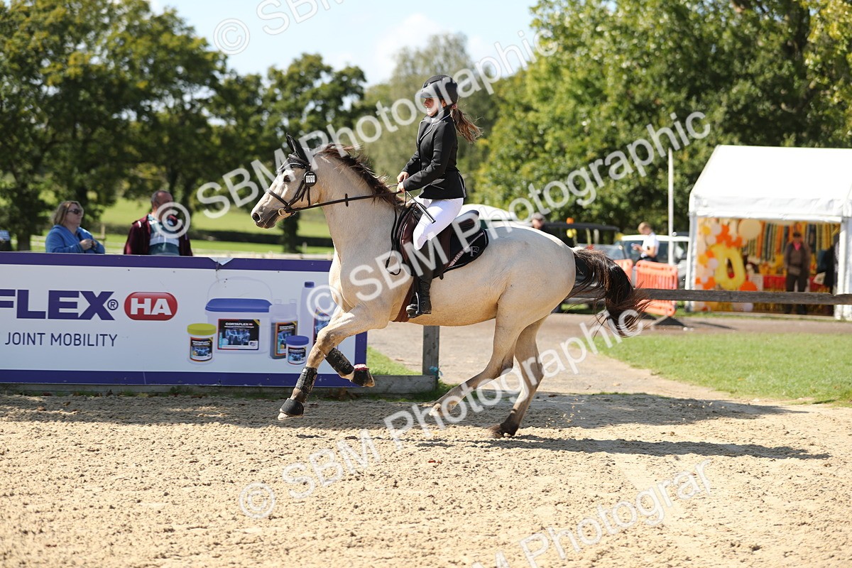 SBM_04841 - J28 - Senior Horse & Pony 60cm Championships