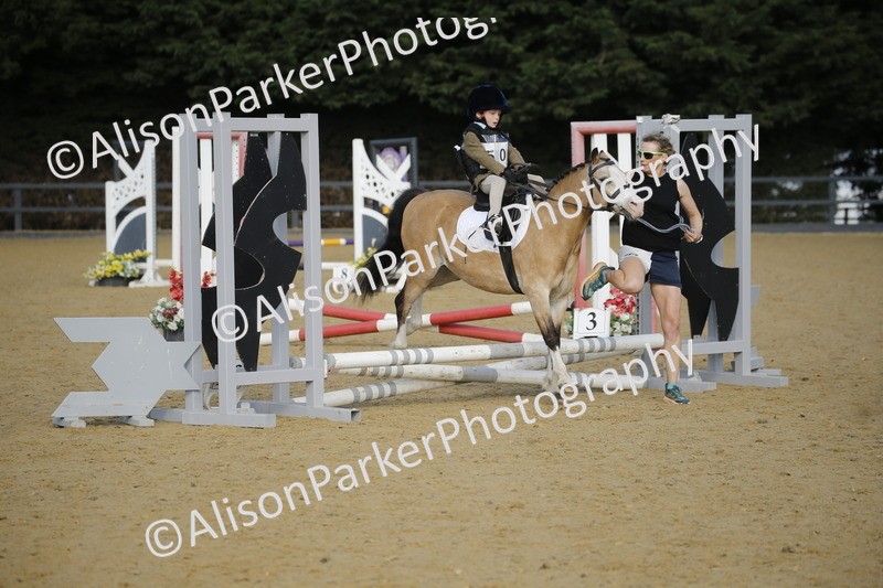 20250622-1137 - 40cm