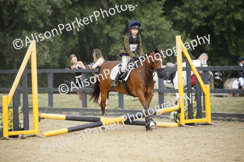 20250622-1577 - 40cm