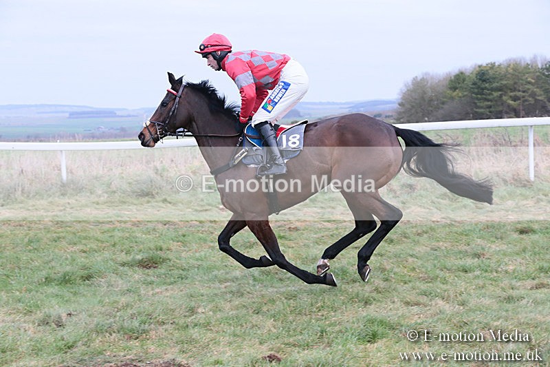 PtP 060119 196 - Larkhill Racing Club - Point-to-Point- 06/01/2019