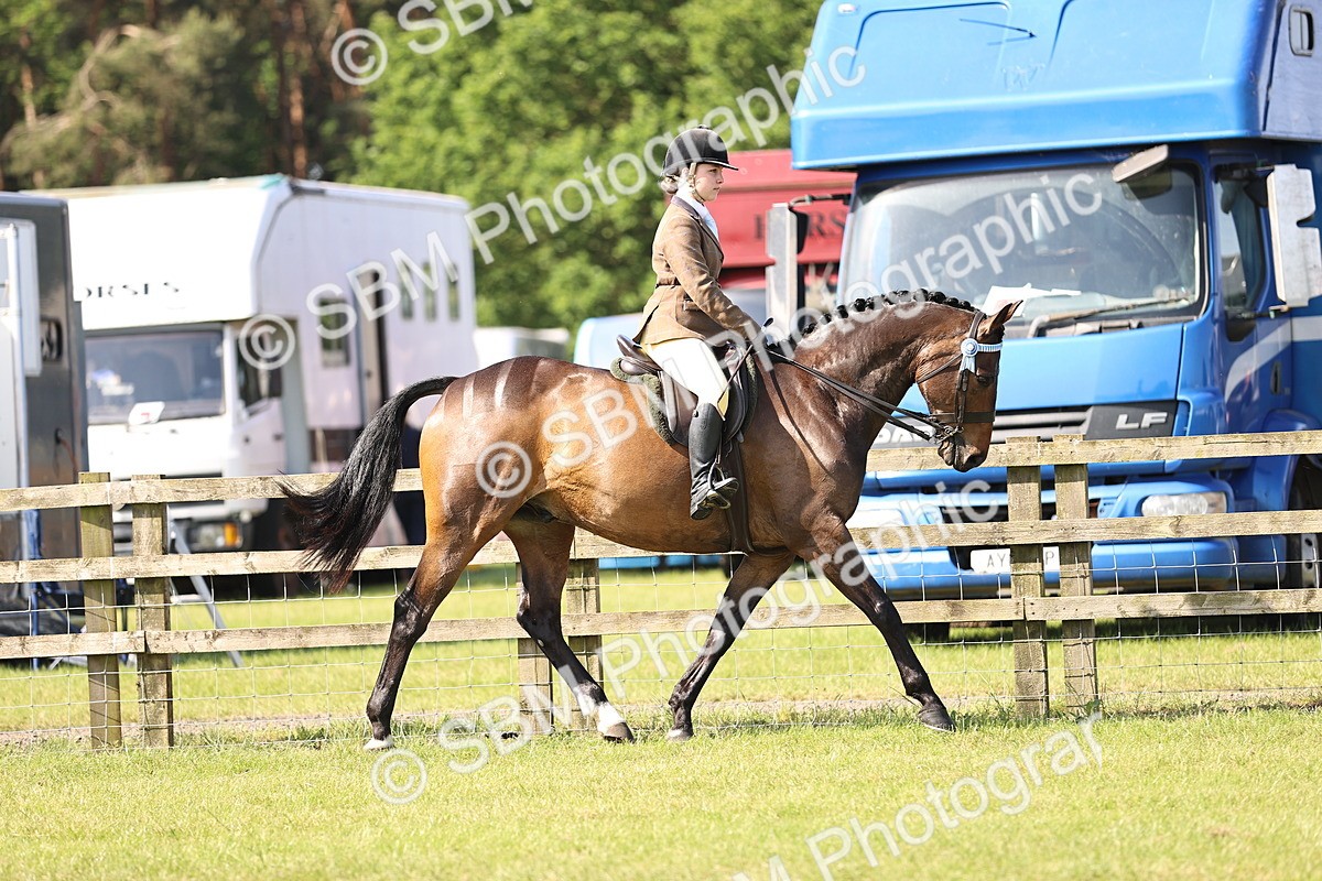 SBM_12878 - Class 75-76 LIHS BSHA Rising Star Hack Riding Horse