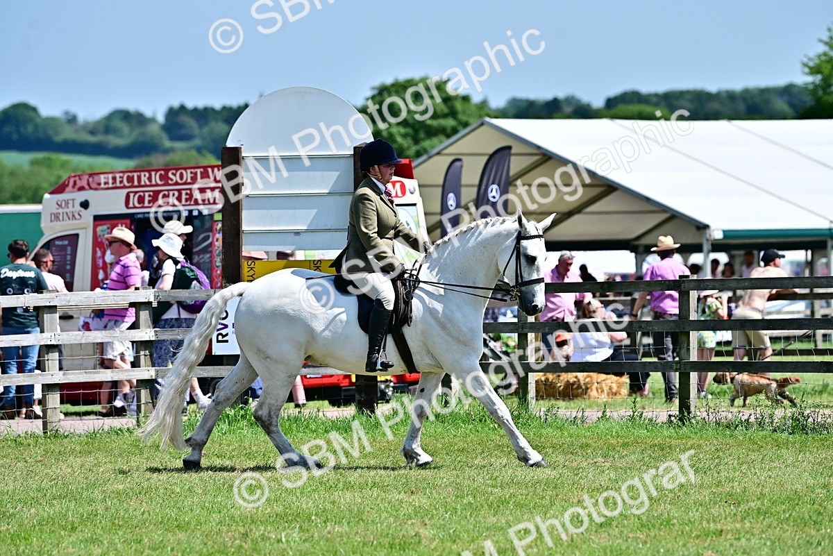 SBM_17494 - Class 95-97 - BSPS LHS Performance Ponies