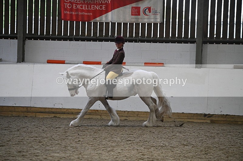 WJ7_4181 - Class 17 Ridden Cob