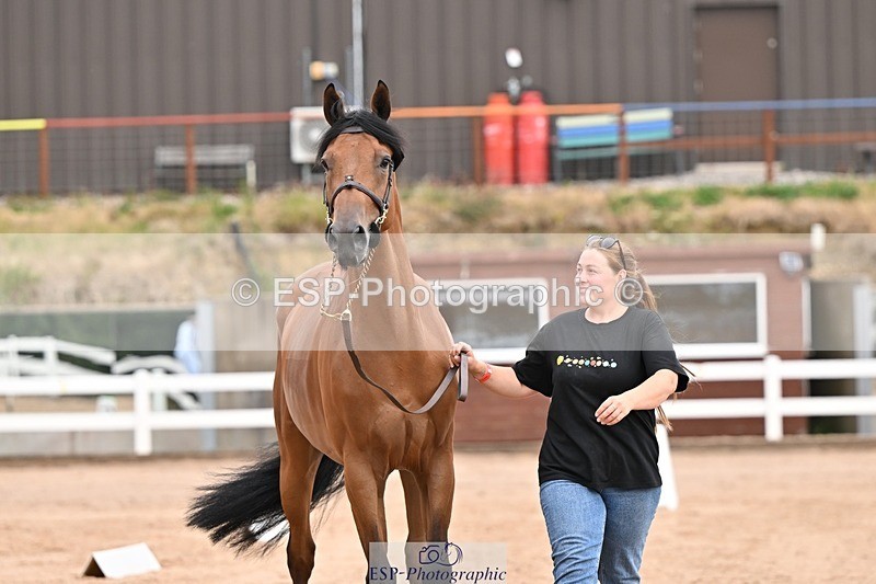 250716-152238-01889 - Trot Up 2.30 to 3.30