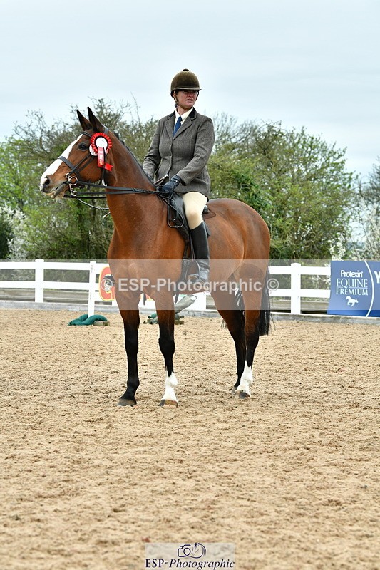 230416A-144101-05276 - Cls 74 Warmblood