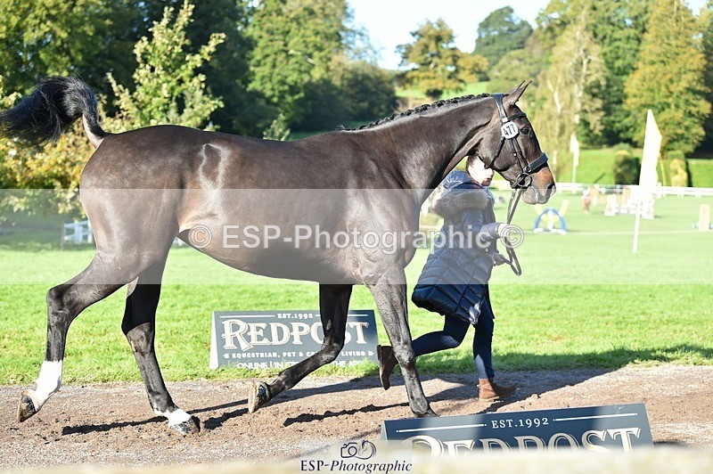 231022-103058-22538 - 477-NPS.KLASSEY-Elizabeth.Jones-TrotUp+SJ