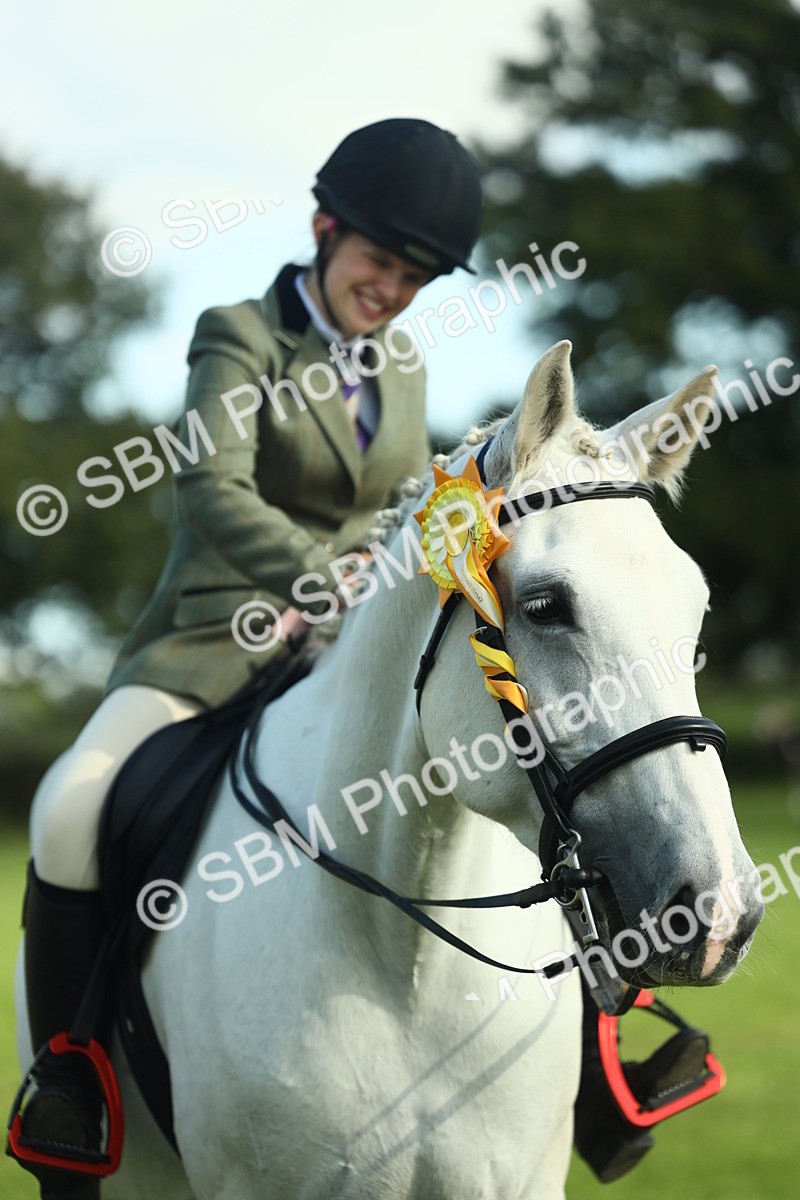 SBM_49936 - S32 - Novice & Newcomers Working Hunter