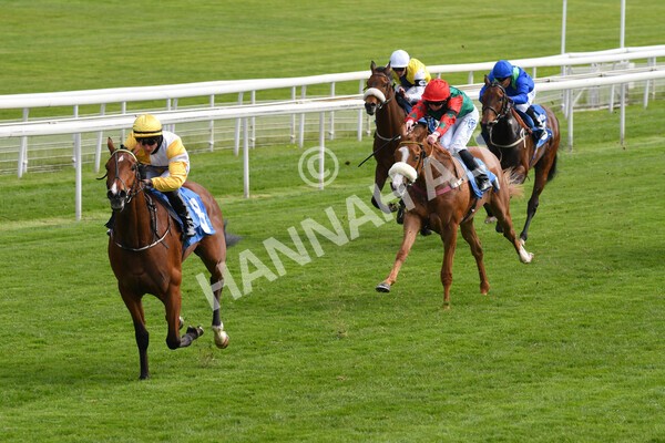 yr12052021r5-11 - Race 5 3.40pm Sky Bet Stakes