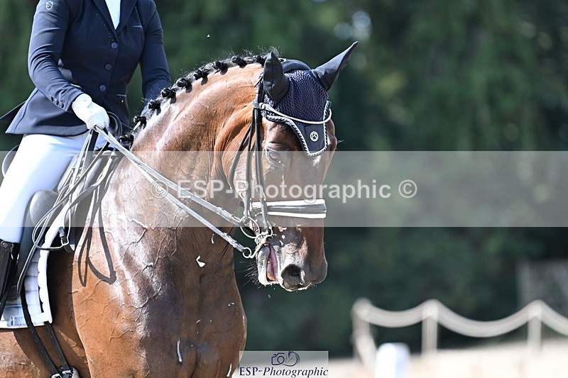 250810A-102113-05106 - 161-Elizabeth.AllenFreestyle.R