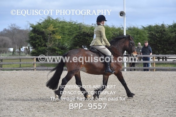 BPP_9557 - RING 2 - M&M