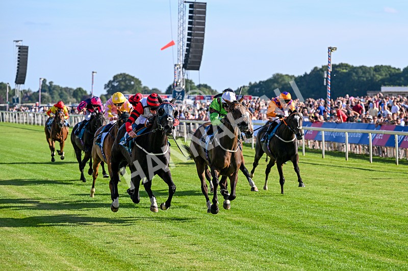 240726-Race 2-Vaguely Royal-5104 - Race 2 18.05pm Elevator Company Handicap