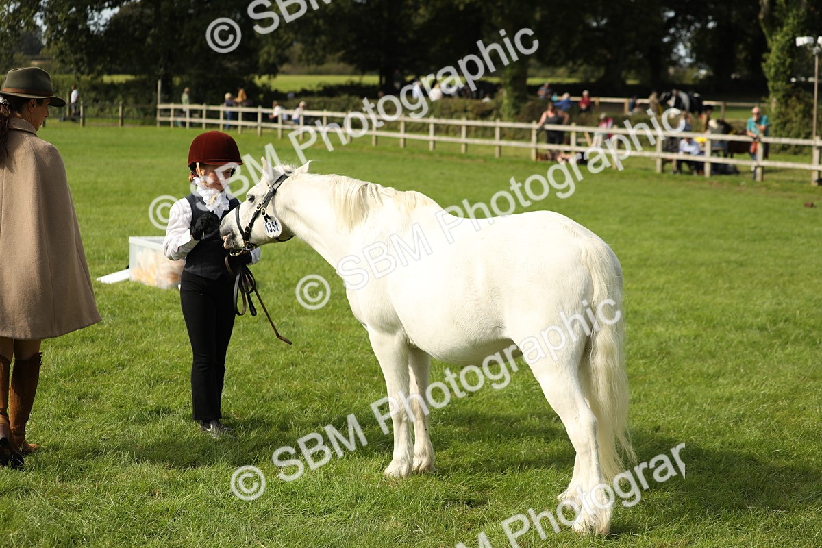 SBM_68672 - S40 - Junior Handler 9-12 Years