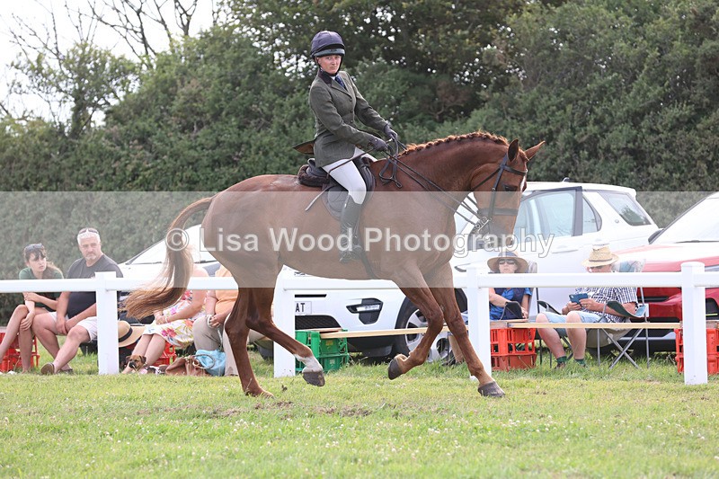 JPP_4516 - Class 26: Working Hunter 1m