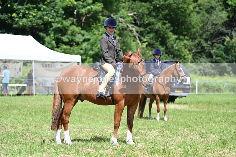 WJ7_1794 - Class 9 Pony Club Pony