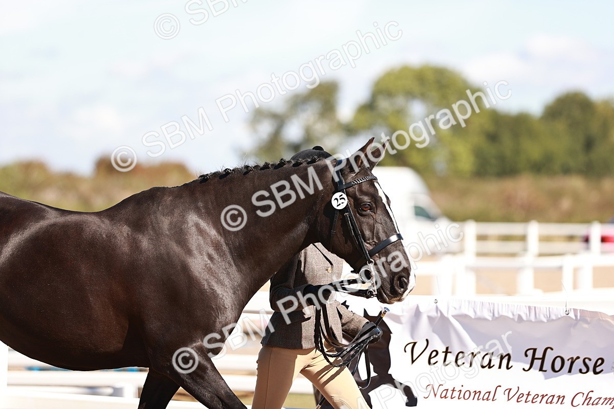 SBM_13272 - class 406 - IH Hunter