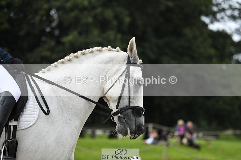 230812-125315-04238 - Cls 6 Novice Silver 12.10 to End