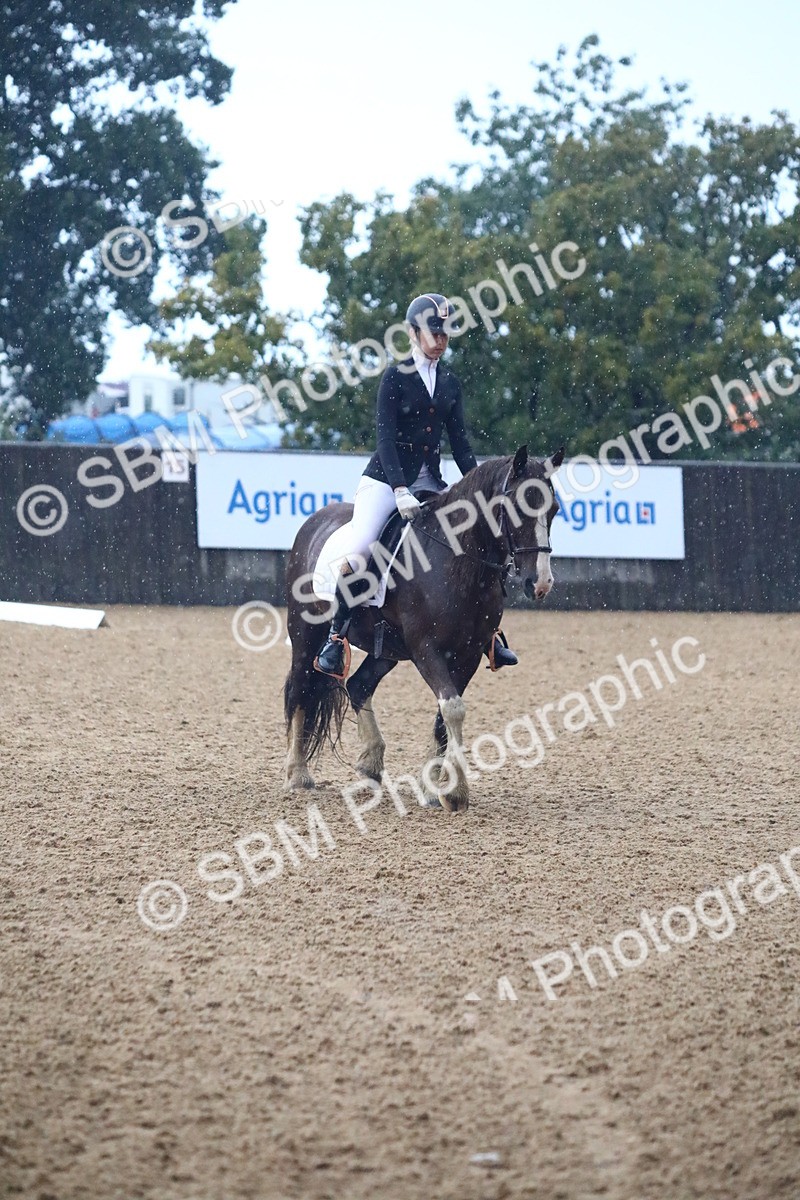 SBM_38842 - D21 - Junior Championship Intro 1