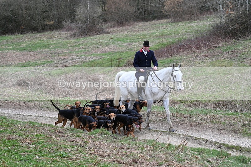 WJ7_7310 - Walk Home