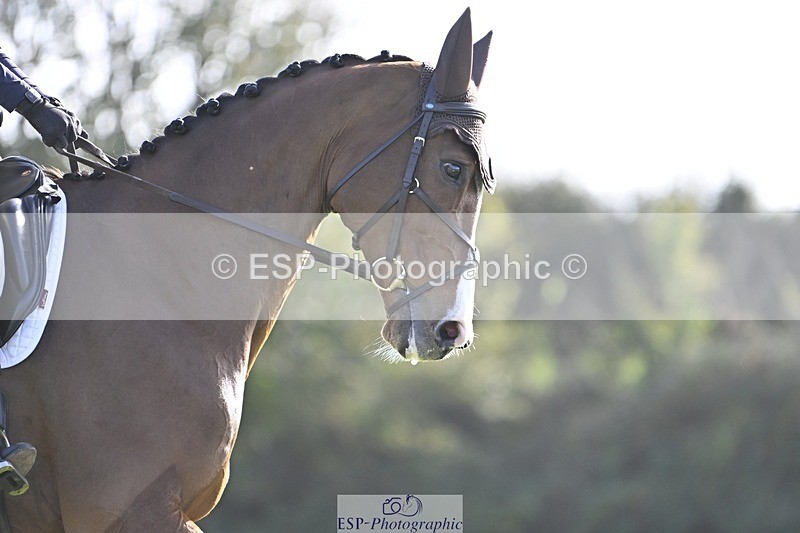 241025-135839-09555 - 383-Kirstin.Elisa.Evans-MONTY.GUIRY