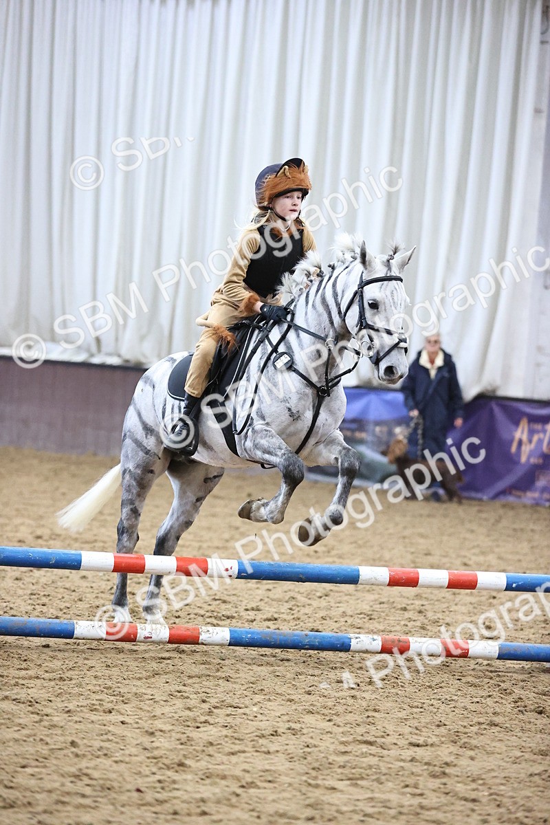 SBM_001260 - Class 3 - Horse & Hound 60cm