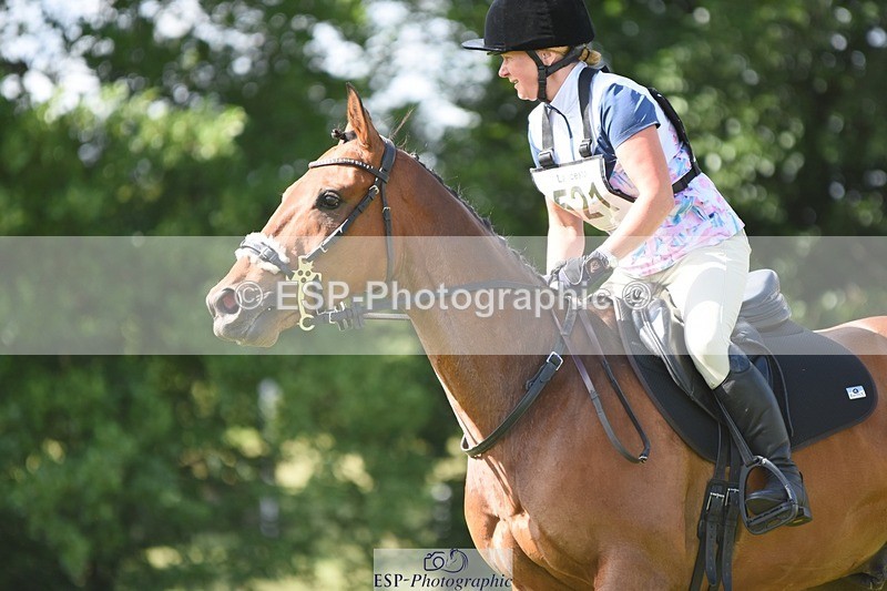 230625-164122-07397 - SJ80 15.50 to 16.50