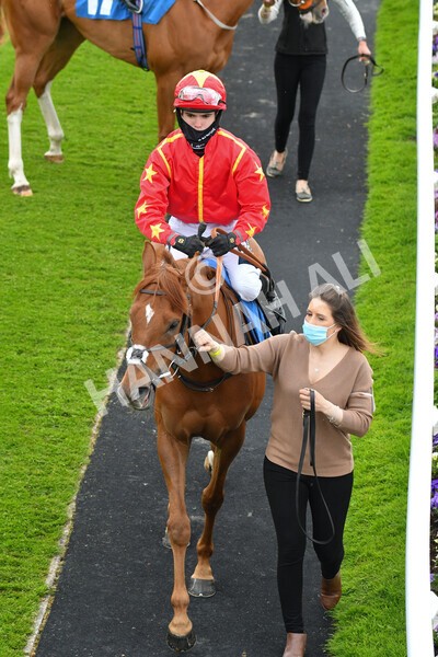 yr22052021r3-5 - Race 3 3.15pm William Hill Extra Place Races Stakes