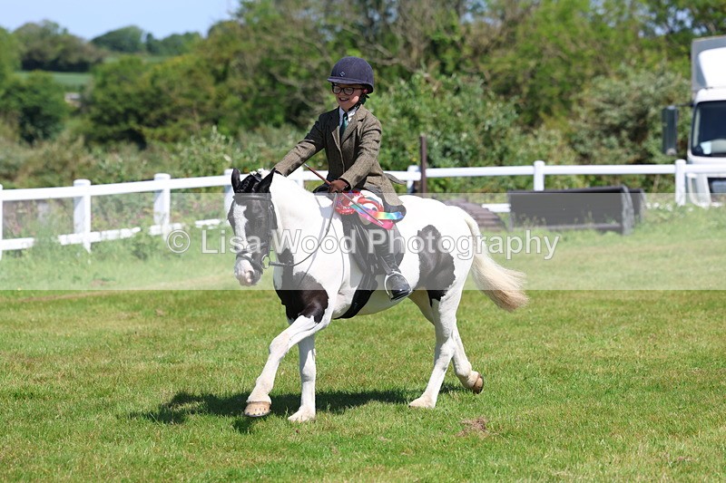3E7A6795 - Working Hunter Pony Championship