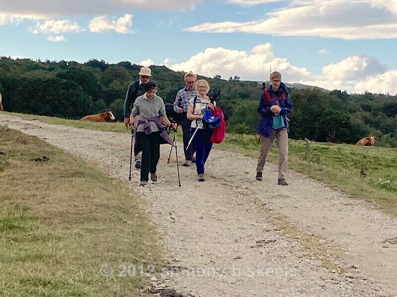 72 Entering Dacre Banks via Hill Top Farm - The Nidderdale Way Collection