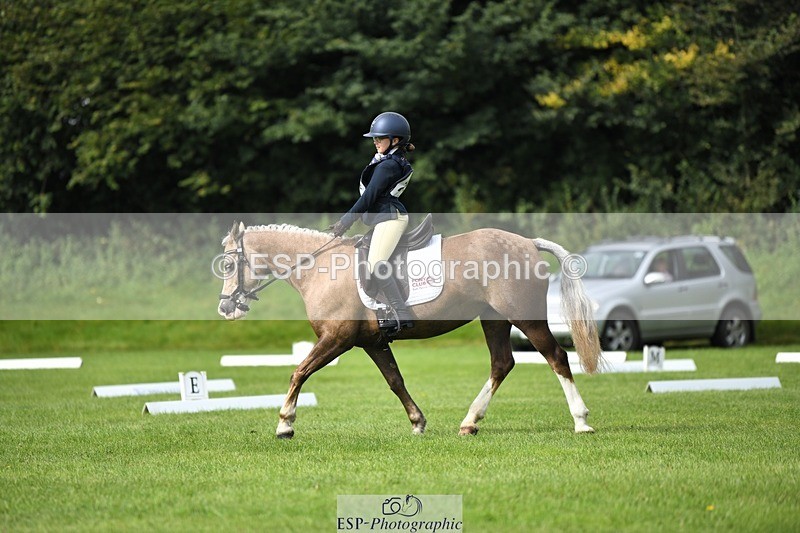 230826-102409-15463 - Sections C & D 10 to End