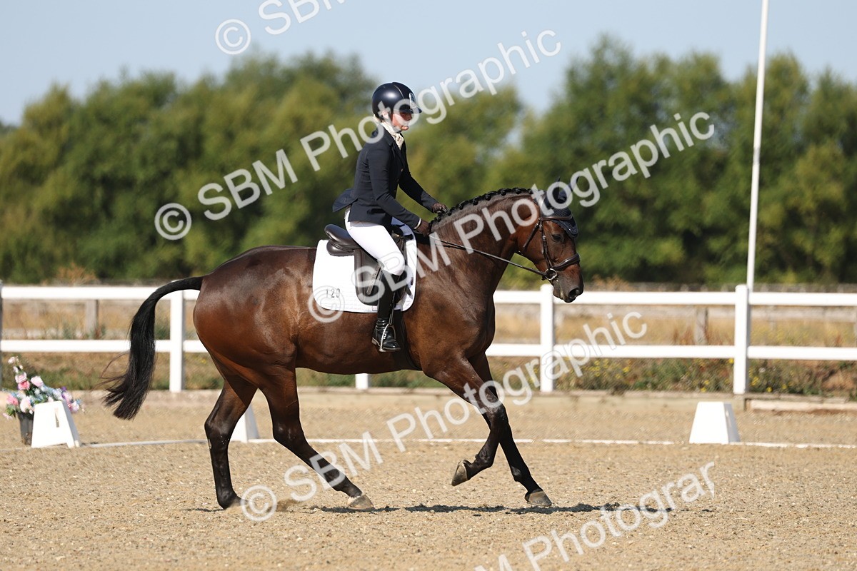 SBM_012863 - Class 1 - P5 Bronze 9.00.10.12