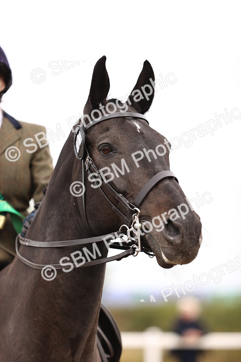 SBM_00681 - Class 53 - Ridden Competition Horse Pony