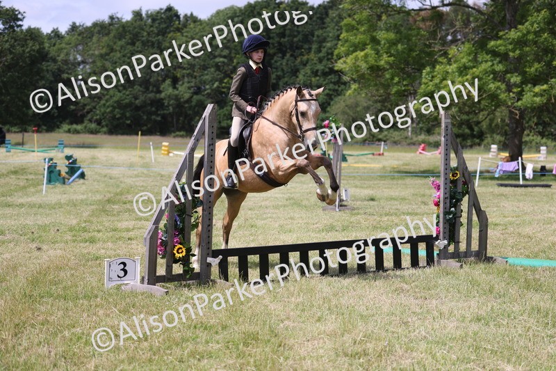 20260614-1773 - Class 21 - Novice Working Hunter Pony