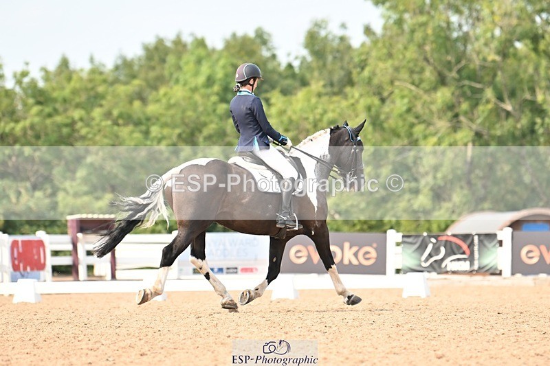 250816-153534-05901 - 037-Alys.MatraversTiger.Mazariti