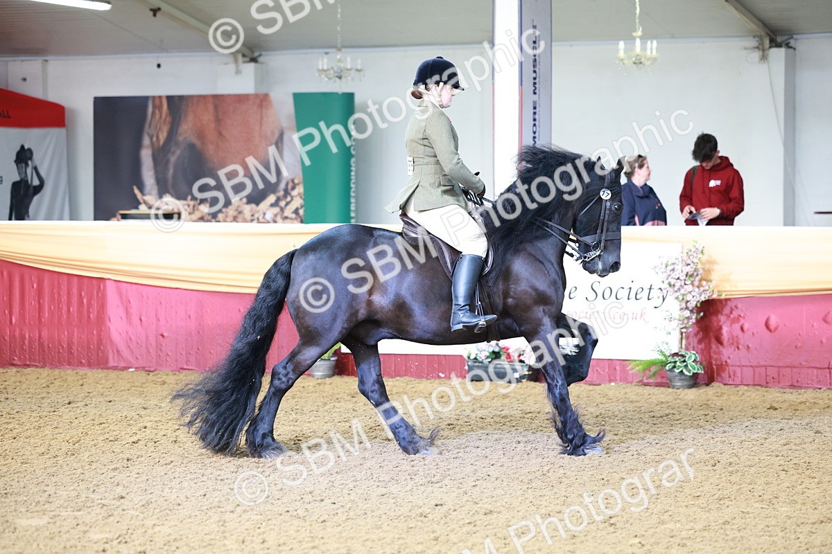 SBM_11879 - Class 102 - Equitation (Best Rider) Adult