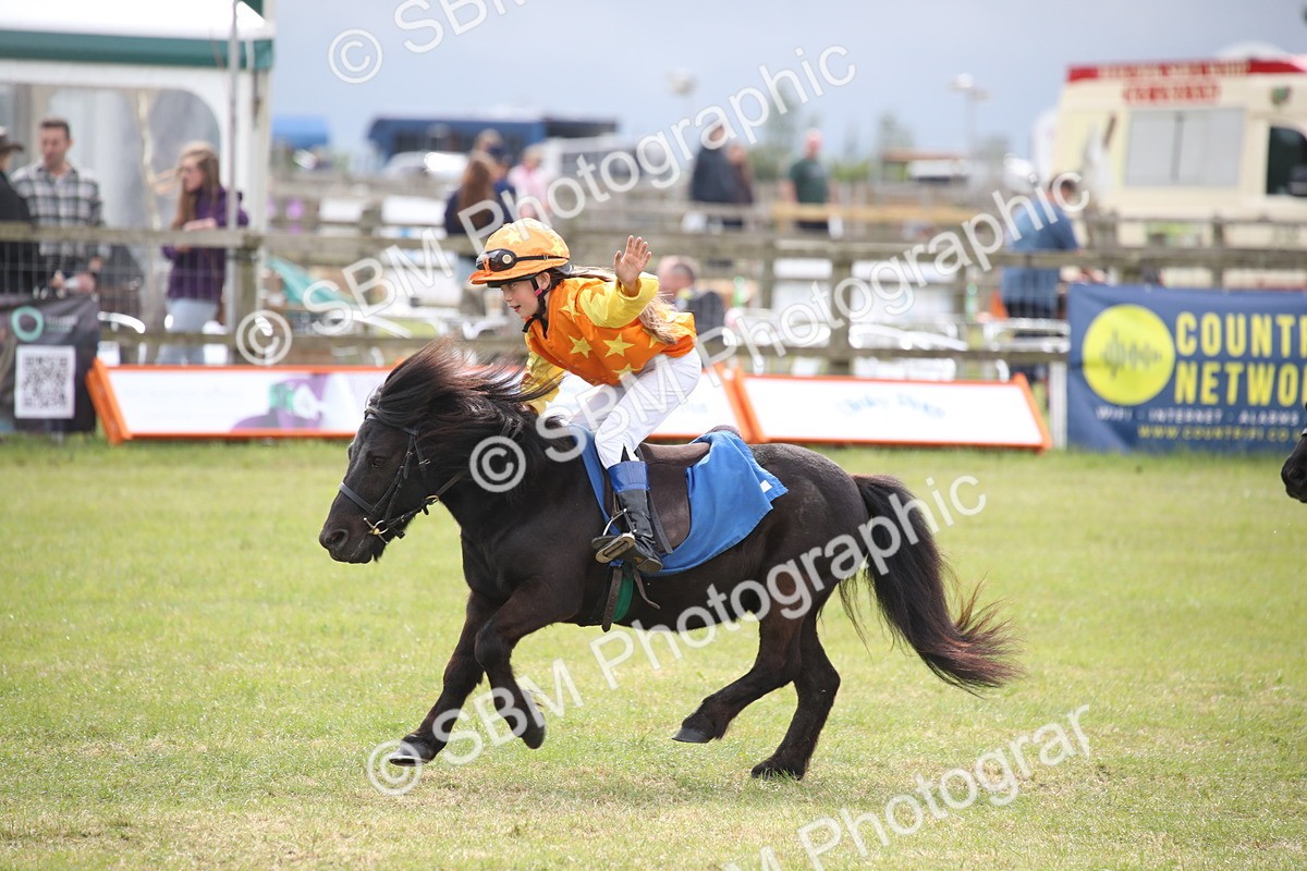 SBM_10209 - Dinky Derby