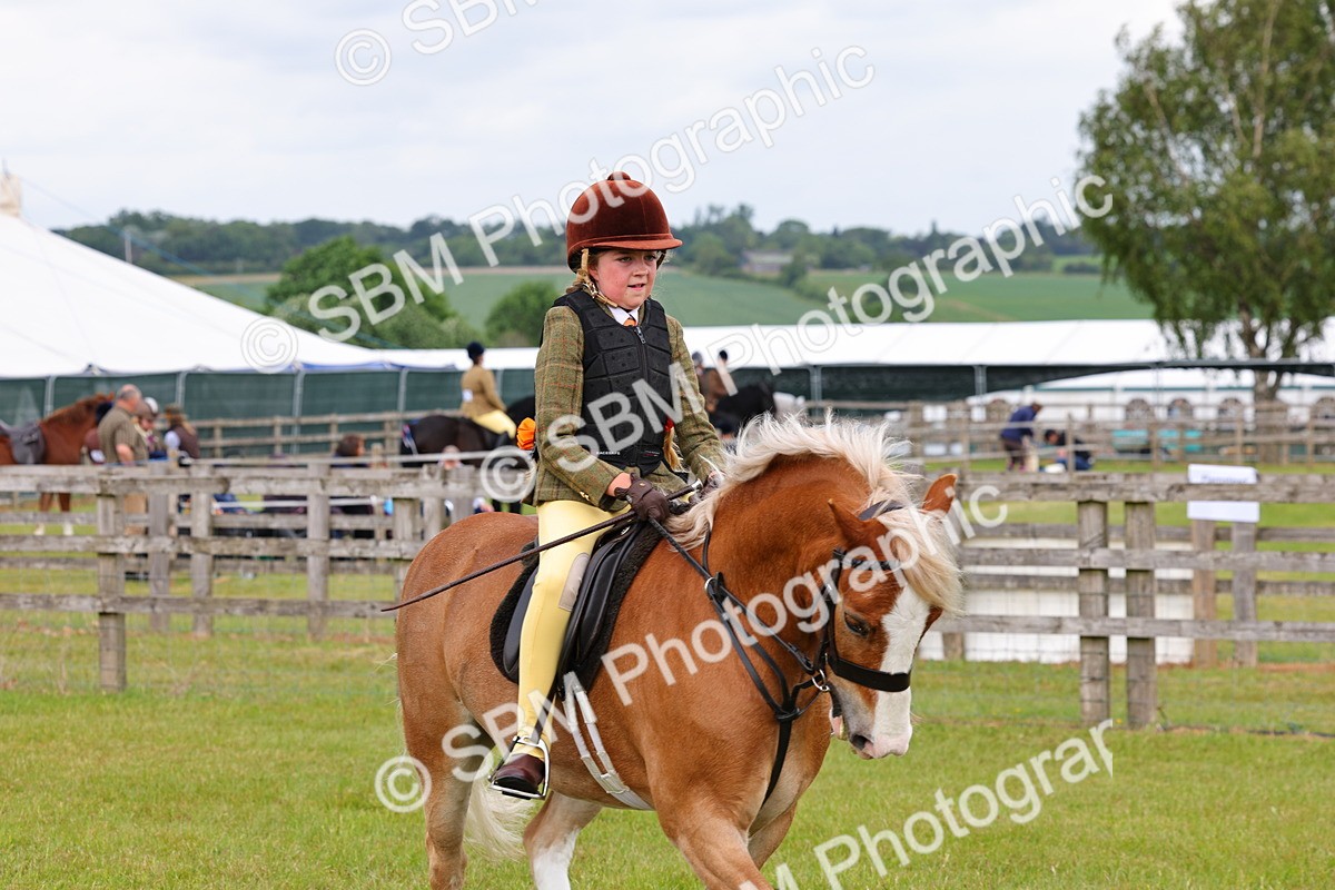 SBM_08573 - Class 42-43 - LIHS BSPS Heritage Working Sports Pony