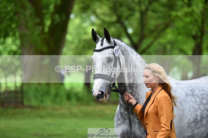 240522-172712-01617 - 287-HEY_DIXIE-Sammy_Harfield