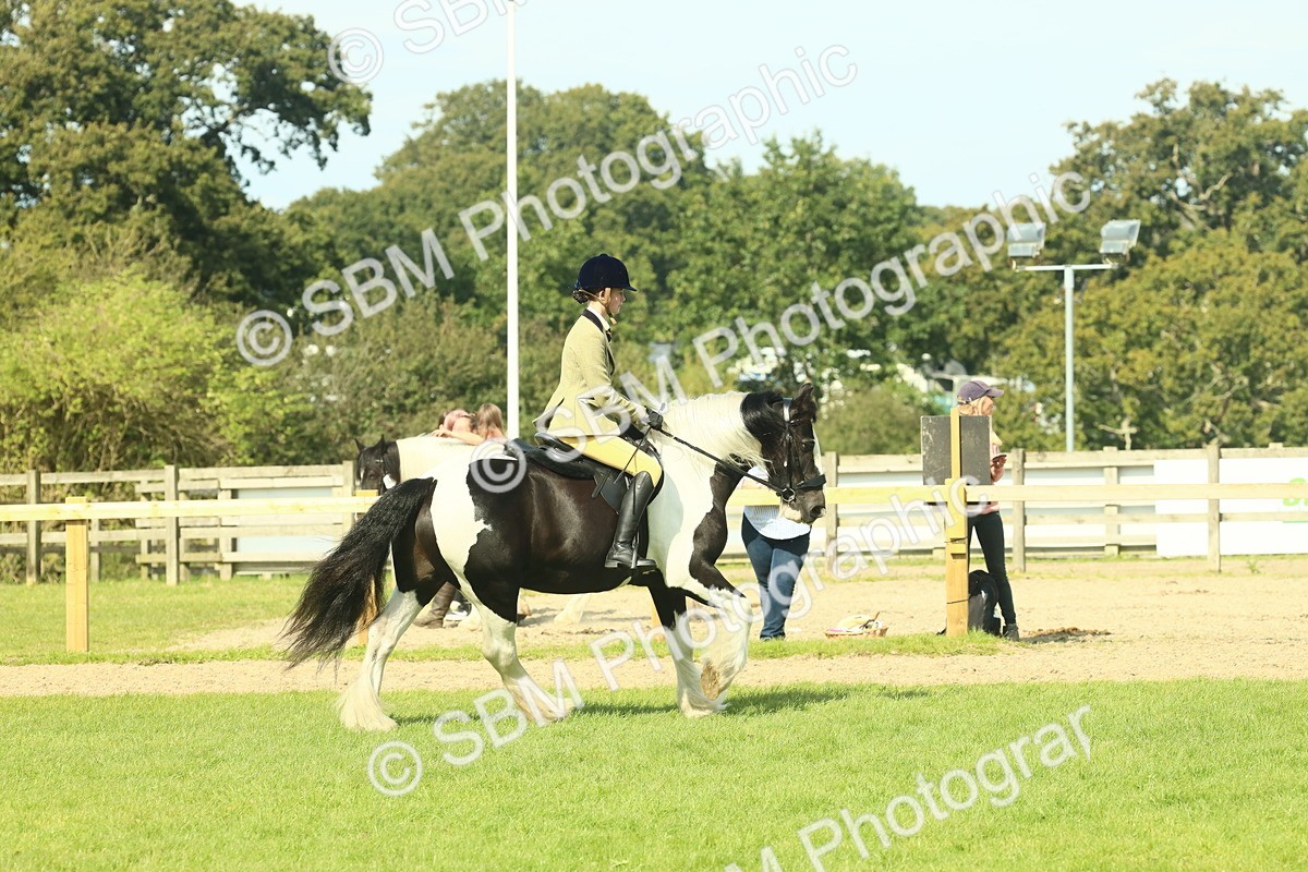SBM_67602 - S56 - Coloured Pony Ridden