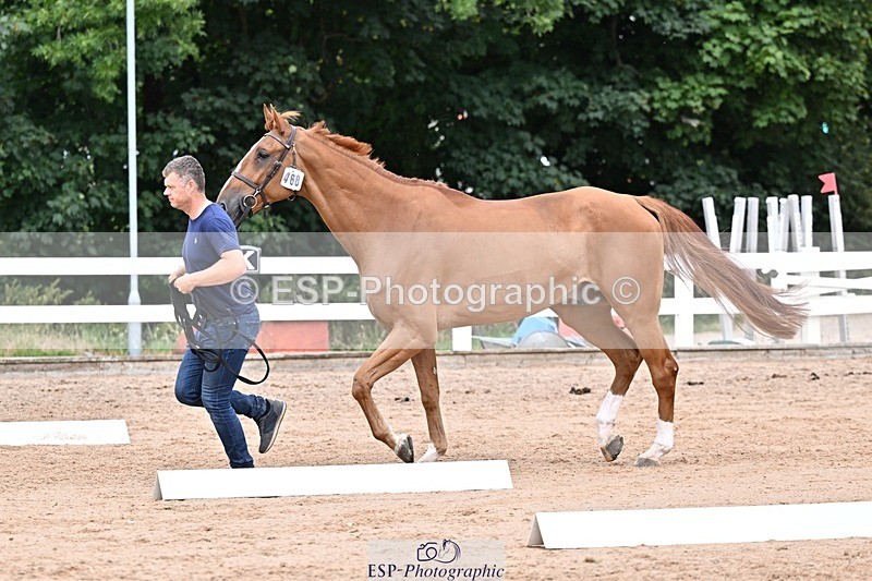 250716-134742-00671 - Trot Up 1.30 to 2.30