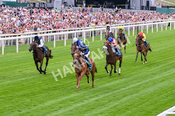 260725-Race 1-Golden Palace-7080 - Race 1 1.25pm £100K ITV7 Jackpot Today EBF Fillies' Novice Stakes